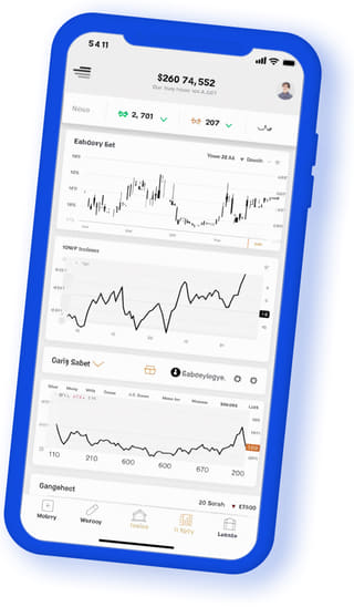 Bezvin Uctovin digital web application on mobile device